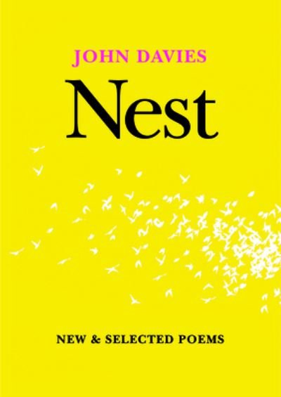 Cover for John Davies · Nest (Paperback Book) (2017)