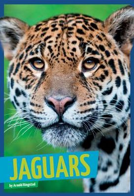 Cover for Arnold Ringstad · Jaguars (Wild Cats) (Hardcover Book) (2014)