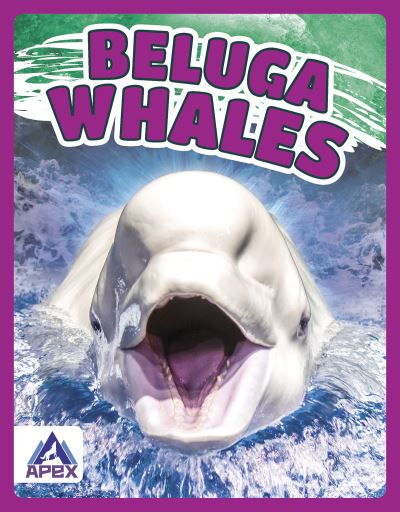 Cover for Angela Lim · Beluga Whales - Giants of the Sea (Hardcover Book) (2021)