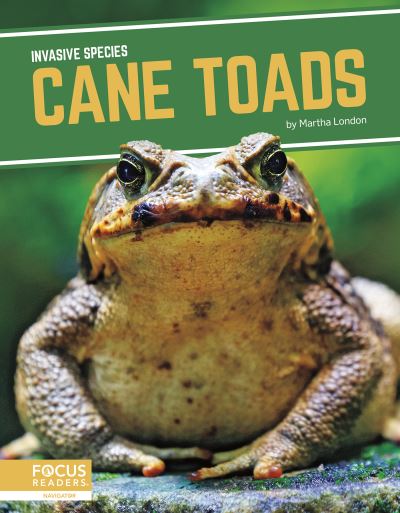 Cover for Martha London · Cane Toads - Invasive Species (Paperback Book) (2021)