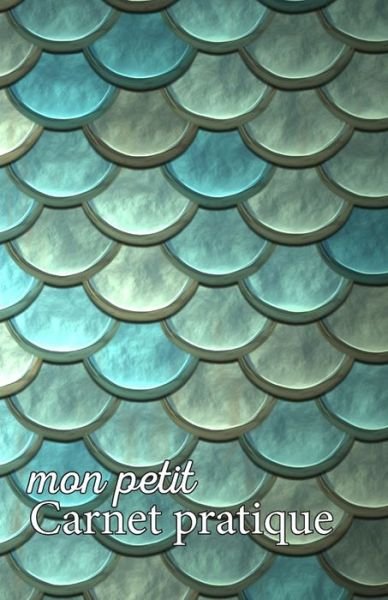 Cover for Mes Petits Calepins V1 V6 Editions · Mon petit Carnet pratique (Paperback Book) (2019)