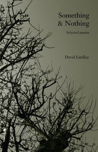 Cover for David Lindley · Something &amp; Nothing (Paperback Bog) (2013)