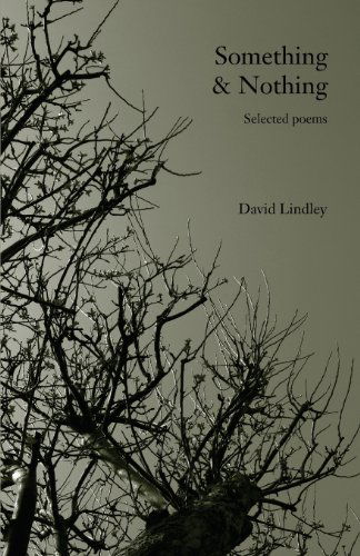 Something & Nothing - David Lindley - Livres - Verborum Editions - 9781907100017 - 31 mai 2013