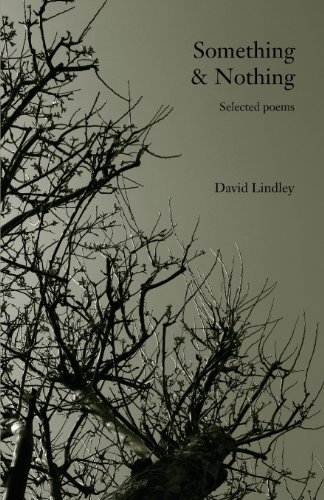 Something & Nothing - David Lindley - Böcker - Verborum Editions - 9781907100017 - 31 maj 2013