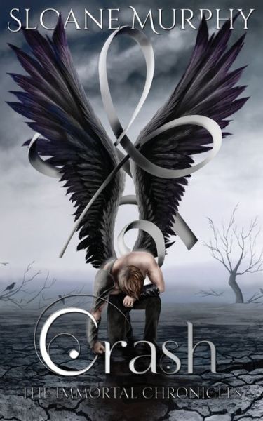 Crash - Sloane Murphy - Books - Hudson Indie Ink - 9781913769017 - June 1, 2020