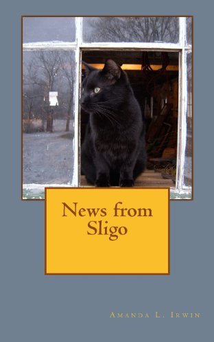 Cover for Amanda L Irwin · News from Sligo (Pocketbok) (2013)