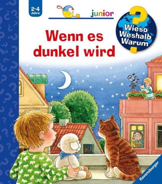 Cover for Droop Constanza · WWWjun28: Wenn es dunkel wird (Leketøy) (2013)