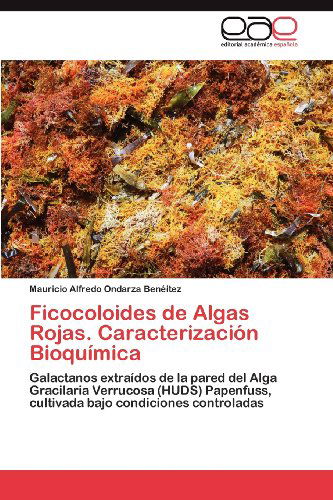 Cover for Mauricio Alfredo Ondarza Benéitez · Ficocoloides De Algas Rojas. Caracterización Bioquímica: Galactanos Extraídos De La Pared Del Alga Gracilaria Verrucosa (Huds) Papenfuss, Cultivada Bajo Condiciones Controladas (Paperback Book) [Spanish edition] (2012)
