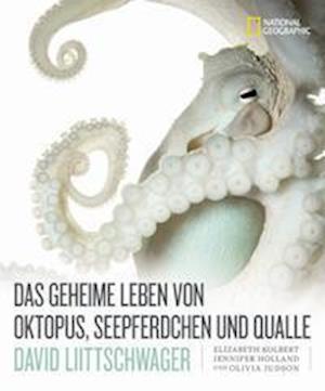 Cover for David Liittschwager · Das geheime Leben von Oktopus, Seepferdchen und Qualle (Inbunden Bok) (2022)