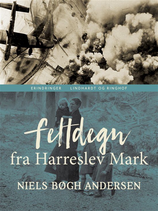 Cover for Niels Bøgh Andersen · Feltdegn fra Harreslev Mark (Hæftet bog) [1. udgave] (2019)