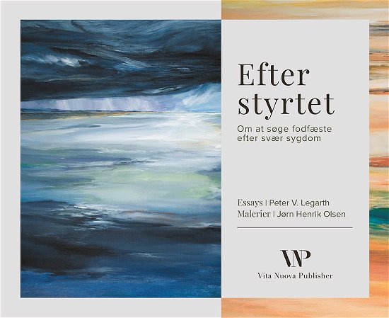 Cover for Peter V. Legarth og Jørn Henrik Olsen · Efter styrtet (Gebundesens Buch) [1. Ausgabe] (2016)
