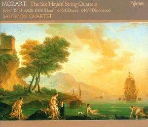 Cover for Mozart / Haydn · Haydn String Quartets (CD) (2000)