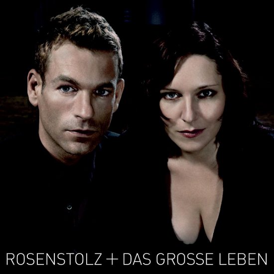 Das Grosse Leben-New Vers - Rosenstolz - Musik - ISLAND - 0602517349018 - 25 juni 2007