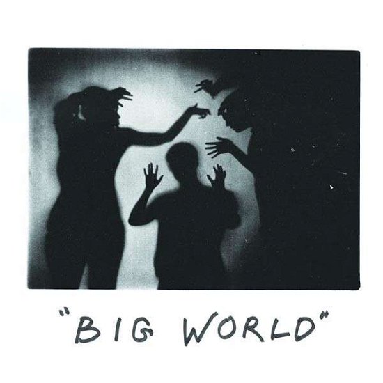 Cover for Happy Diving · Big World (LP) (2014)