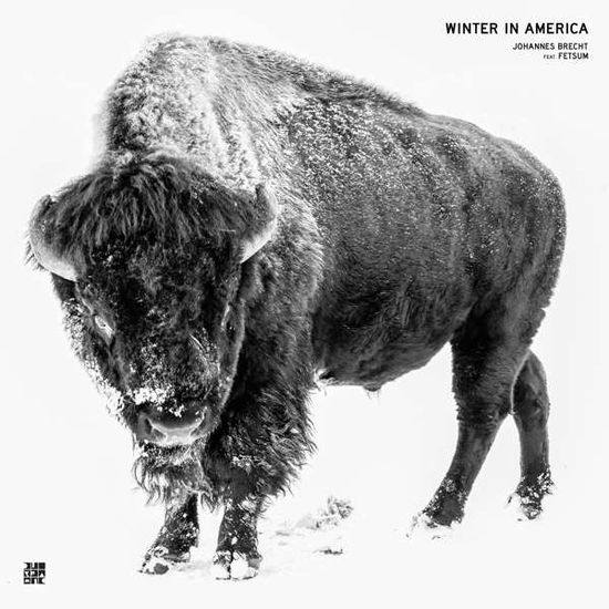 Cover for Johannes Brecht · Winter In America (LP) (2021)