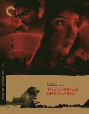 Cover for Criterion Collection · Cranes Are Flying, the BD (Blu-Ray) (2020)