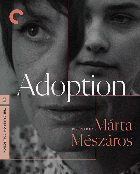 Cover for Criterion Collection · Adoption BD (Blu-Ray) (2022)