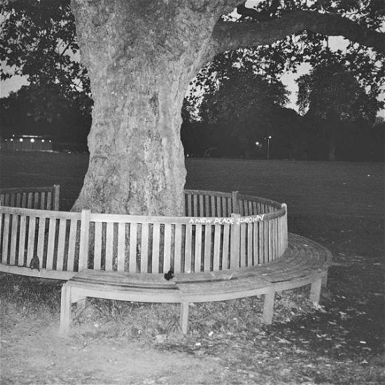 Cover for Archy Marshall · A New Place 2 Drown (LP) (2016)