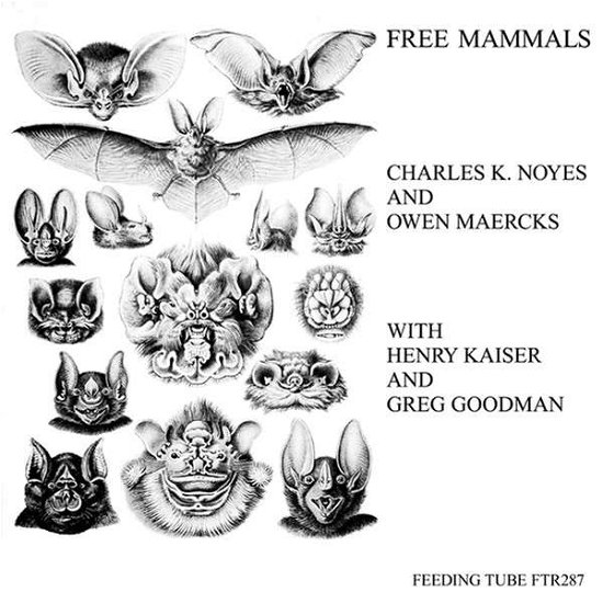 Free Mammals - Noyes,charles K / Maercks,owen / Kaiser,henry - Musikk - FEEDING TUBE - 0752830266018 - 10. august 2018