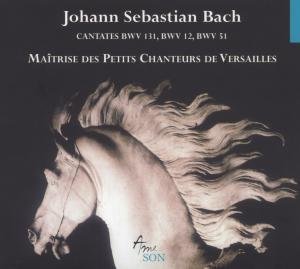 Cover for J.s. Bach · Cantatas Bwv 12 51 131 (CD) (2009)