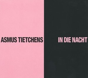 Cover for Asmus Tietchens · In Die Nacht (LP) (2013)