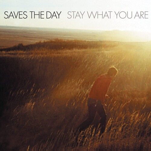 Stay What You Are (Limited Edition) [2lp Brown 10" Vinyl] - Saves The Day - Musiikki - ALTERNATIVE - 4050538783018 - perjantai 11. marraskuuta 2022