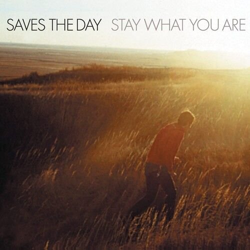 Cover for Saves The Day · Stay What You Are (Limited Edition) [2lp Brown 10&quot; Vinyl] (10&quot;) [Limited edition] (2022)