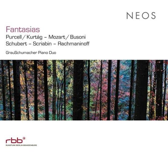 Cover for Grauschumacher Piano Duo · Fantasias: Purcell / Kurtag - Mozart / Busoni (CD) (2017)