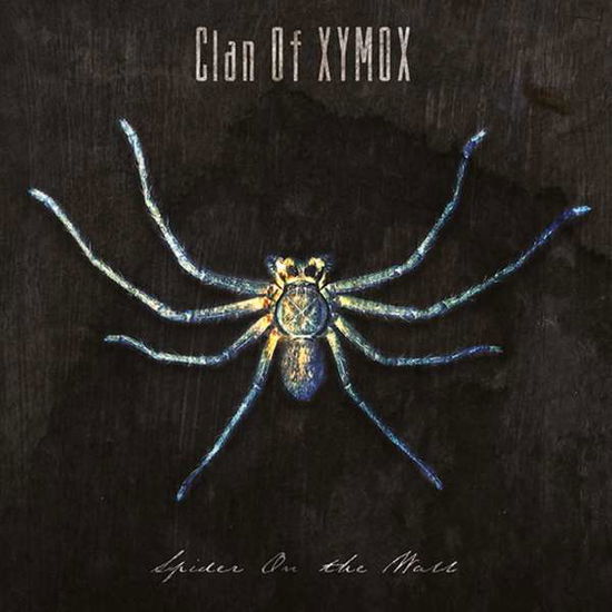 Spider On The Wall - Clan of Xymox - Musiikki - TRISOL - 4260063947018 - perjantai 7. elokuuta 2020