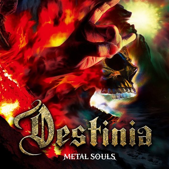 Cover for Nozomu Wakai's Destinia · Metal Souls (CD) [Japan Import edition] (2018)