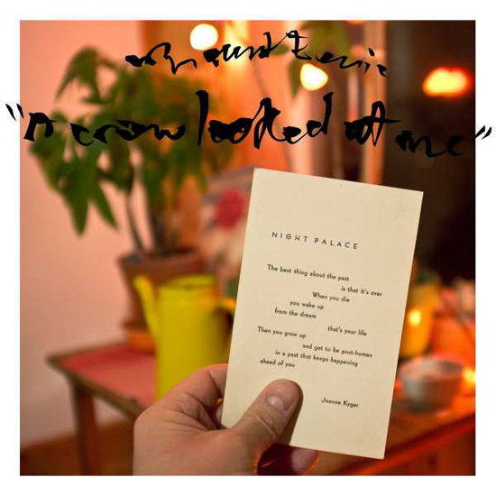 Cover for Mount Eerie · A Crow Looked at Me (CD) [Japan Import edition] (2017)