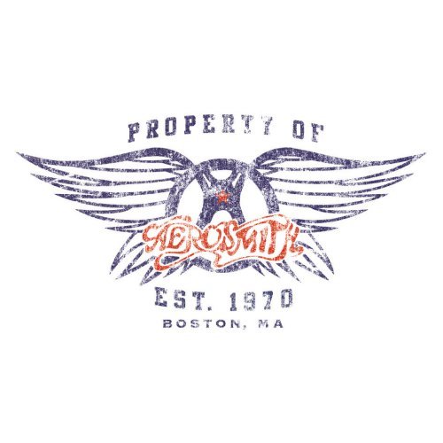 Aerosmith Greetings Card: Wings - Aerosmith - Bøger - Epic Rights - 5055295310018 - 