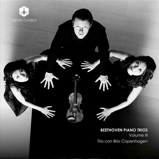 Cover for Ludwig Van Beethoven · Piano Trios Vol.3 (CD) (2019)