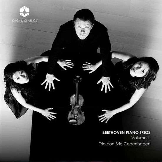 Cover for Trio Con Brio Copenhagen · Ludwig Van Beethoven: Piano Trios. Vol. Iii (CD) (2019)