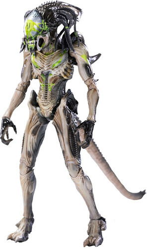 Cover for Hiya Toys · Avpr Battle Damage Predalien Px 1/18 Scale Figure (MERCH) (2022)