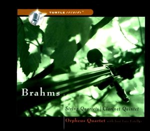 Cover for J. Brahms · Brahms String Quartets / Clarinet Quintet (CD) (2002)