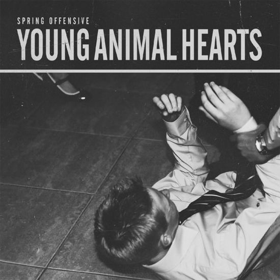 Cover for Spring Offensive · Young Animal Hearts (CD) (2014)