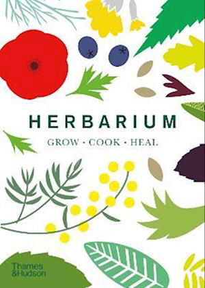 Cover for Caz Hildebrand · Herbarium: One Hundred Herbs · Grow · Cook · Heal (Paperback Bog) (2023)