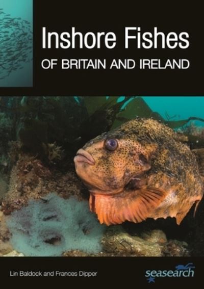 Cover for Lin Baldock · Inshore Fishes of Britain and Ireland (Paperback Bog) (2023)