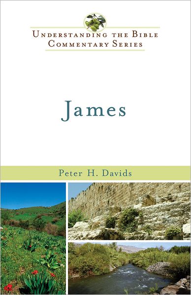 Cover for Peter H. Davids · James (Paperback Book) (2012)