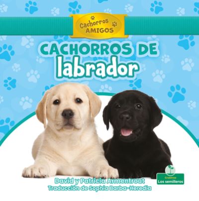 Cover for David Armentrout · Cachorros de Labrador (Paperback Book) (2021)