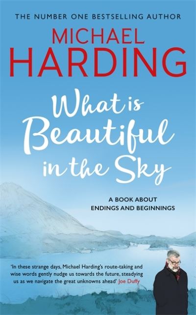 Cover for Michael Harding · What is Beautiful in the Sky: A book about endings and beginnings (Hardcover Book) (2020)