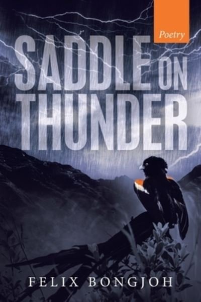 Saddle on Thunder - Felix Bongjoh - Libros - Trafford Publishing - 9781490799018 - 27 de diciembre de 2019