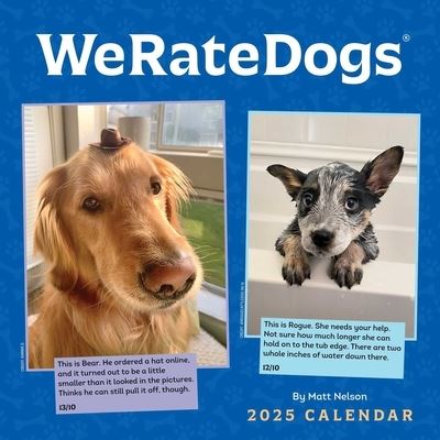 Cover for Matt Nelson · WeRateDogs 2025 Wall Calendar (Kalender) (2024)