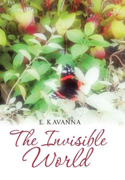 Cover for E. Kavanna · The Invisible World (Hardcover Book) (2018)