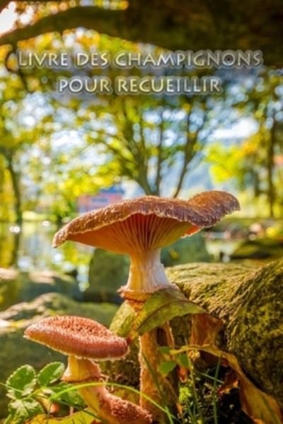 Livre des champignons pour recueillir - Cueilleur de Champignons Journal - Bøger - Independently Published - 9781693736018 - 17. september 2019