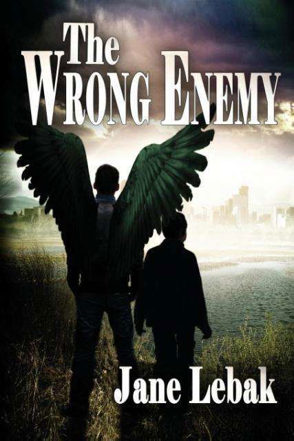 Cover for Jane Evelyn Lebak · The Wrong Enemy (Paperback Book) (2014)
