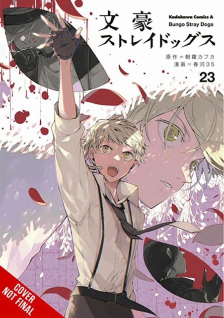 Cover for Kafka Asagiri · Bungo Stray Dogs, Vol. 23 - BUNGO STRAY DOGS GN (Paperback Book) (2023)