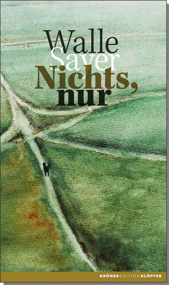Cover for Sayer · Nichts, nur (Bok)