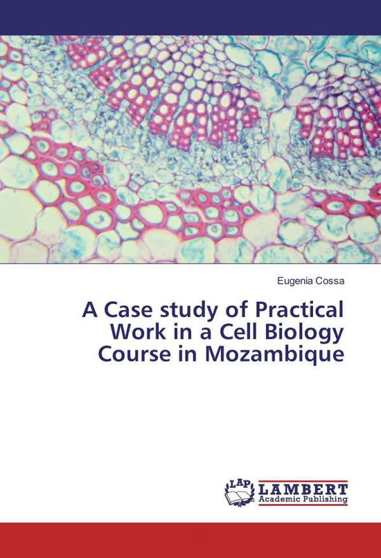 Cover for Cossa · A Case study of Practical Work in (Book)